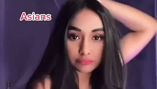 Pakistanlı Hint bengalcesi tiktok