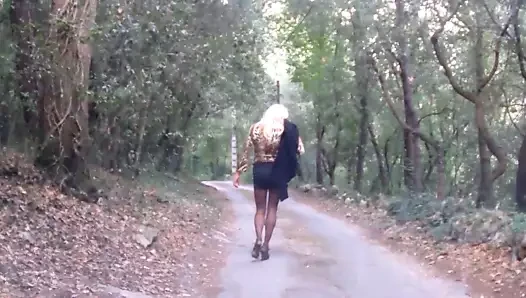 Promenade automnale