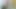yaşlı adam çıplak fotoğraf