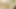 Seksi orta yaşlı seksi kadın sıkı göt deliğiyle yarağa binerken inliyor