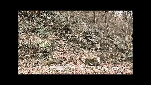 Big boobs hairy pussy milf fucking