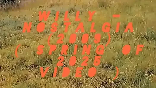 WillyAlexandruPetre videosu