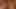 Katsuni tam anal erişim hakkı veriyor!