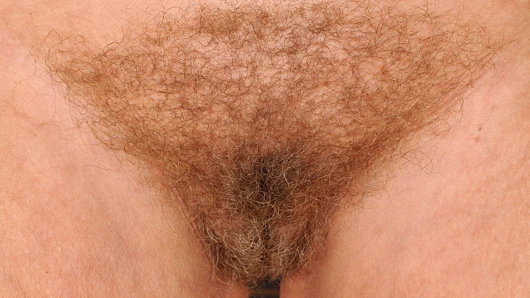 Furry olgun kedi çarptım sert