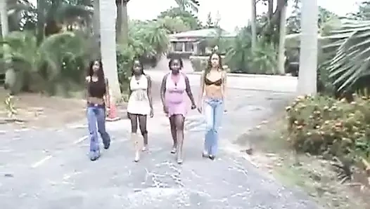 Vahşi jl ve 4 zenci kız