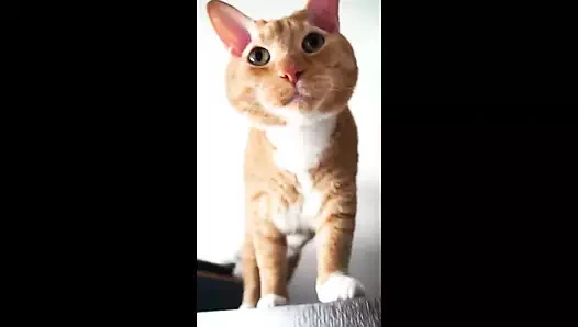 Çıplak vücudumla resim çiziyorum