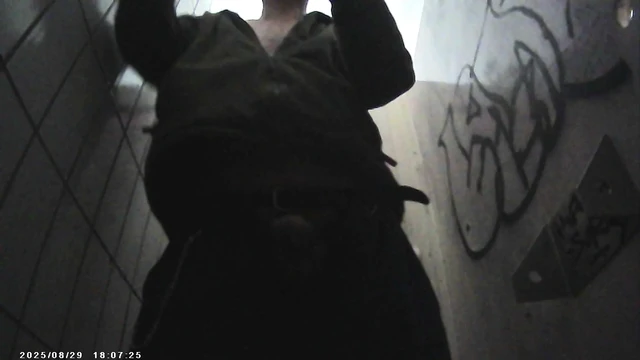 Притц в туалете