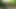 XXX pornosu seni asla bırakmayacaktır. Seni gerçek bir arı gibi hissettirecek ve seni en sürtük gibi parçalayacak!