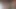Askeri damızlık saksocu önce anal