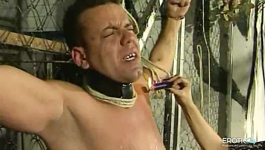 House of Pain Dominatrix submits her husband like a dog