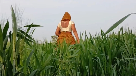 Desi 18-year-old young, married beautiful sister puts her finger in her pussy in the field and gets her brother to fuck her buttocks in the field