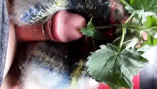 Stinning ısırgan ve tiftik mastürbasyon 4