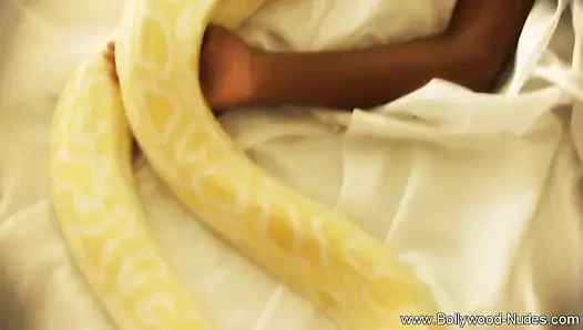 Bir bollywood kadının uyandıran striptiz