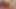 Hotkinkyjo anal ejderha yapay penis gelen mrhankey &amp; prolapsus