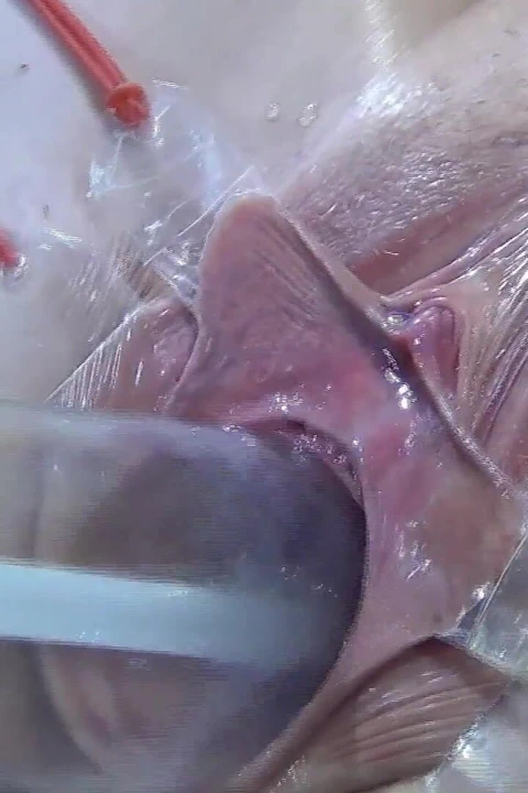 10 Uzağa Yayılmış Vadi Yakın Çekim Lambayla Sevişme 1000 Watt