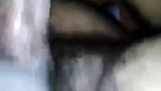 Bbc prens albert içinde xena kıllı kedi