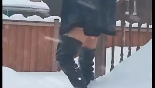 Kar tavşanı Jolene