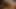 Bana bir siktir et!