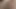 Sürtük sinn adaçayı, lezbiyen gf ve travesti jakuzide çılgına dönüyor!