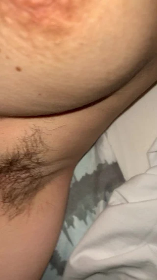 Sikme ıslak kıllı kedi yakın çekim