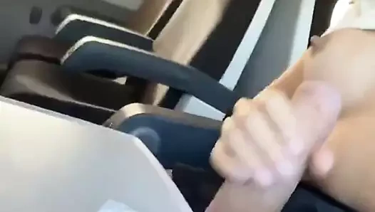 Bir uçakta büyük horoz