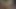 Çıplak öğle yemeği - 70'lerde Danimarkalı seks partisi