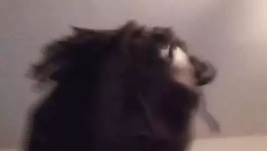 Bütün o göt, bir ssbbw abanoz fahişe hikayesi