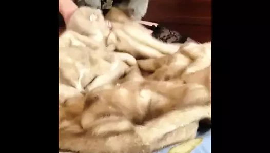 Üvey annenin minklerinde renkli tilki paltolu korkak