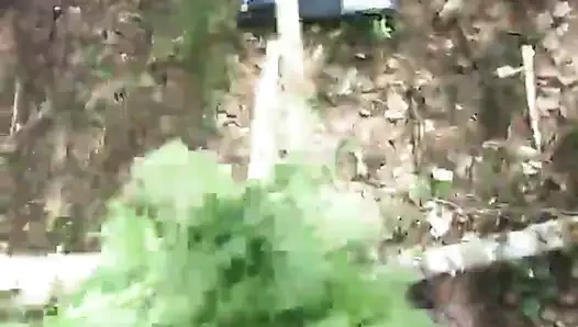 Cbt with nettle and juniper branch