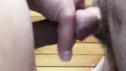 Büyük karınlı kısa yarak yavruları.