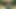 Bu kızıl saçlı Belçikalı ne istediğini (penis) biliyor ve istediğini yapıyor