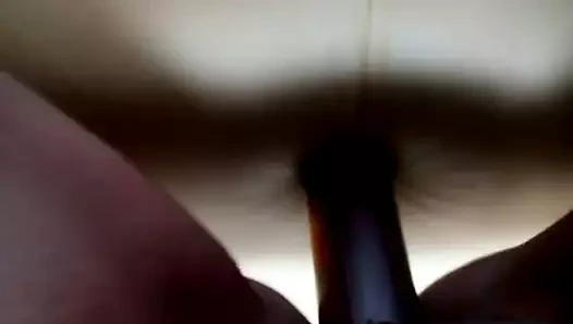 Palavata kuchka ne izdurja