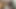 Mila ve latin hırsız gıdıklanıyor, gıdıklanıyor ve merhamet için yalvarıyor! Fullhd