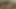 Sweet latina babe with hairy pussy get banged