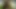 Horoz emme civciv gets kremalı içinde pov sonra ağız masaj çük