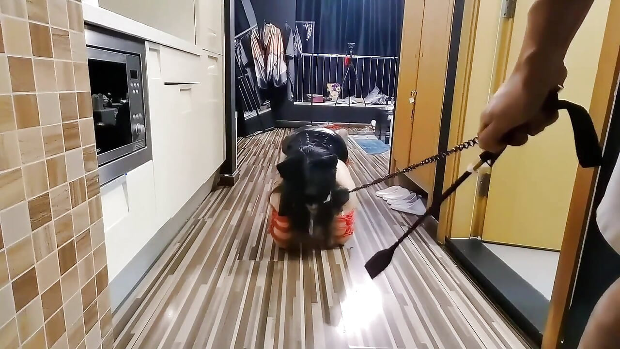 Canine Slave