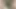 Güzel hizmetçinin elbisesi yırtıldı mı yoksa çekildi mi?