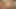 Büyük yuvarlak götlü orta yaşlı seksi kadın kameraya poz atıyor ve siyah bir yarağa biniyor