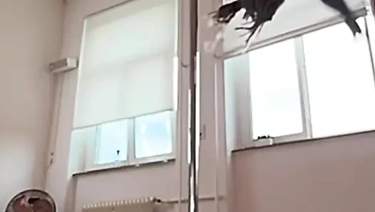 Dansımı beğendin mi?