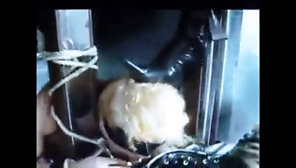 3 travestiler metresleri ve 1 aptal yardakçı