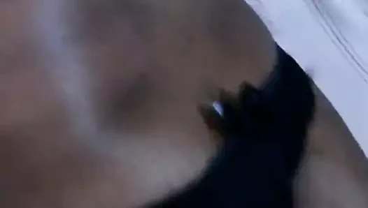 mamando  a rola gostoso