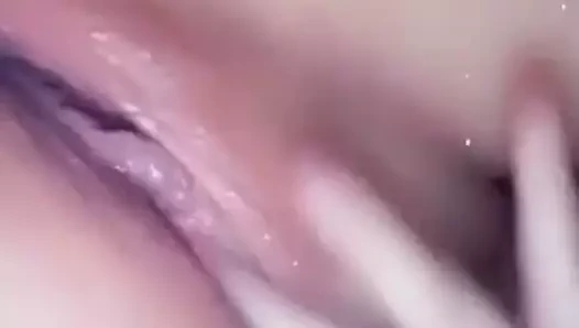 Beyaz bir kedi özlem bbc