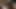 İki sarışın fahişe şanslı bir horoz emiyor - yüz amatör ev yapımı klasik retro porno