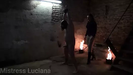 Şiddetle köle yumurtalarında ne var