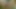 Web kamerası kedi kız fışkırtma