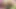 İki erkek arkadaş - seksi neon bikinili büyük memeli kız arkadaşlar festivalden sonra seks oyuncakları ve şanslı adamla çıldırıyor