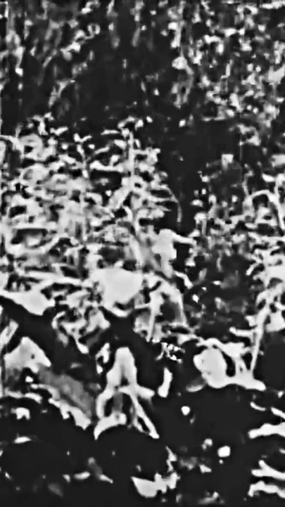 El Satario - Restored 4K Vintage Erotica