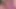Piggy Rose büyük ayı ve lucipork ile xbiz miami'de yayın yapıyor