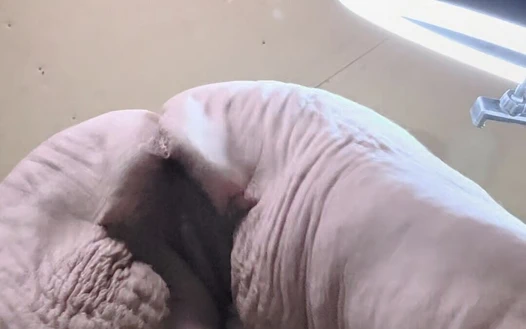 Seks yapmanın 1001 yolu var