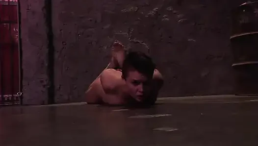 Köle merhametsiz şaplak atıyor